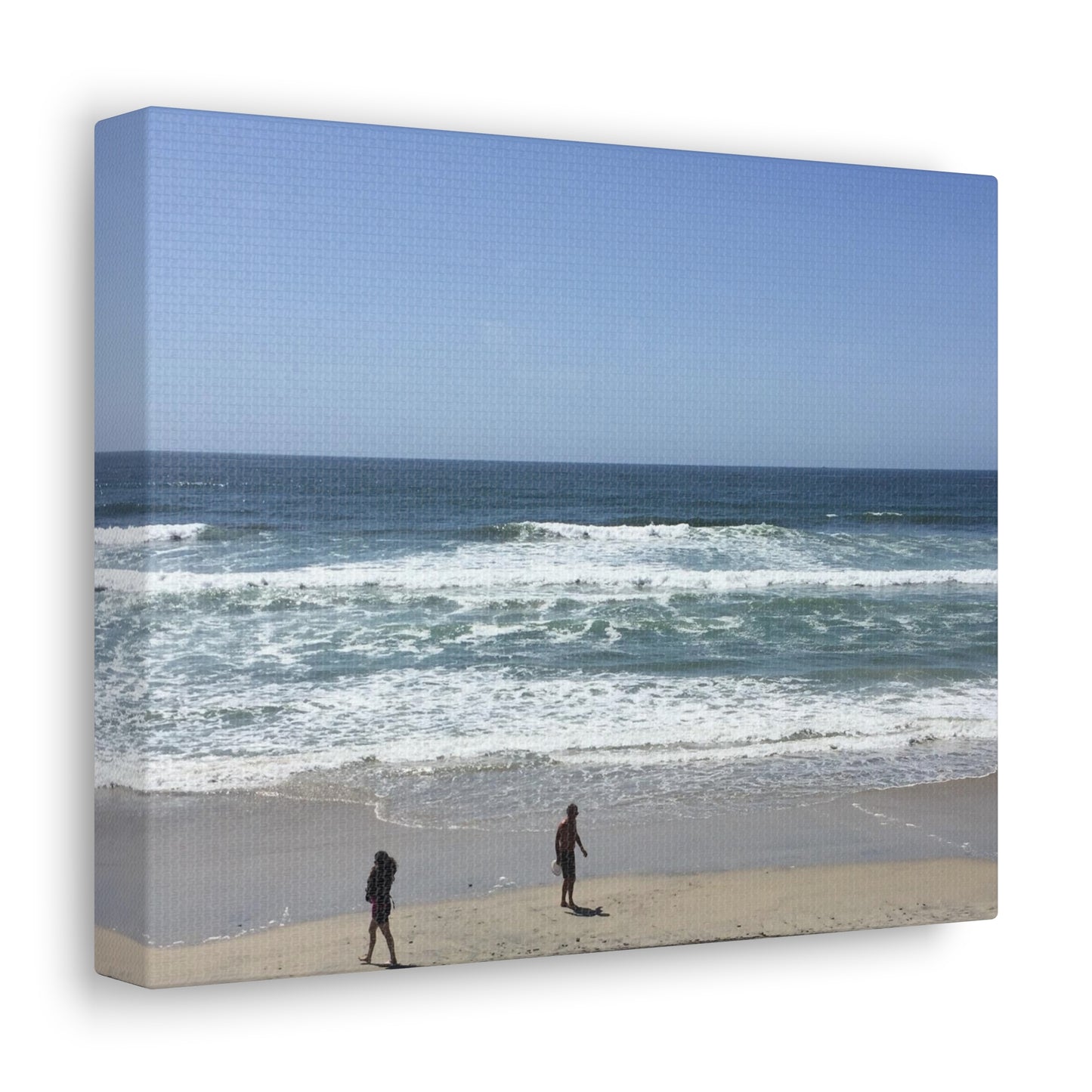 Torrey Pines, California Canvas Gallery Wrap