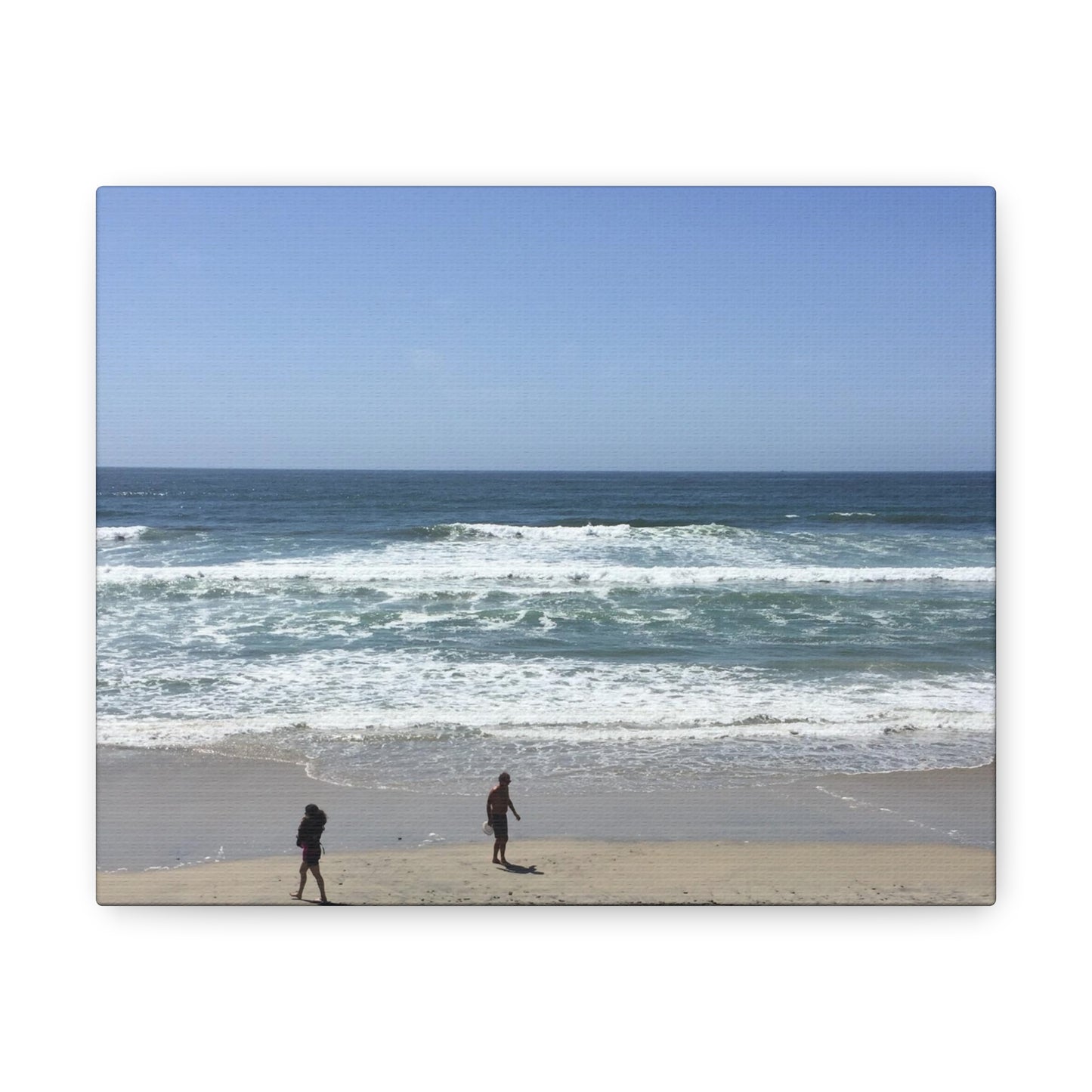 Torrey Pines, California Canvas Gallery Wrap